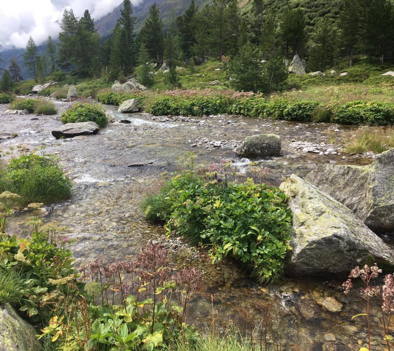 Апартаменты Sonnenhof Кальс-ам-Гросглоккнер Экстерьер фото